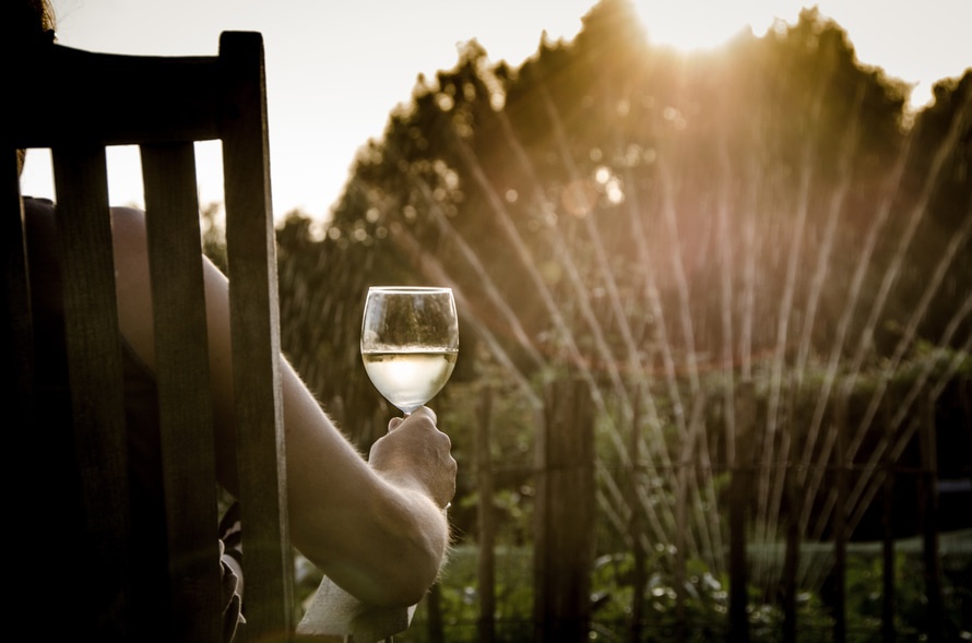 people-summer-garden-sitting-large