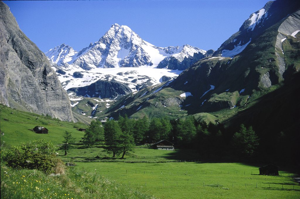 Großglockner - NPHTGruber